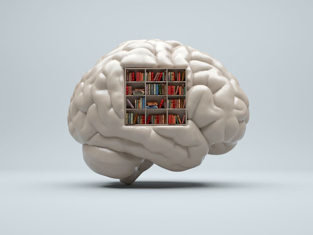 Cerebro humano con libros en su interior